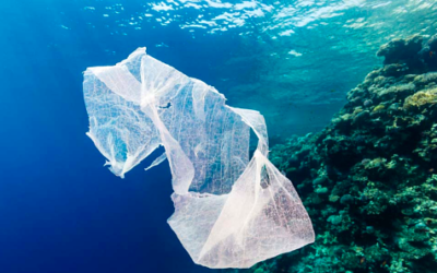 FASHION’S WAR ON PLASTIC POLLUTION